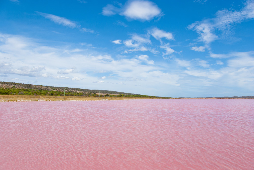 Pink Lake