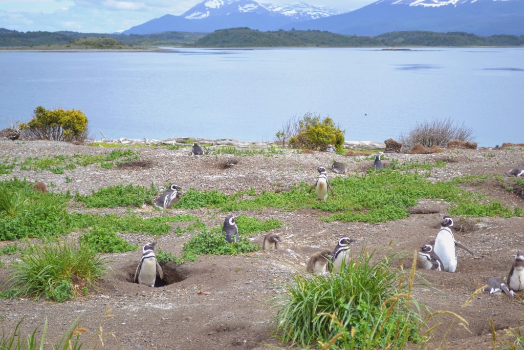 Argentina Part 1 – Ushuaia